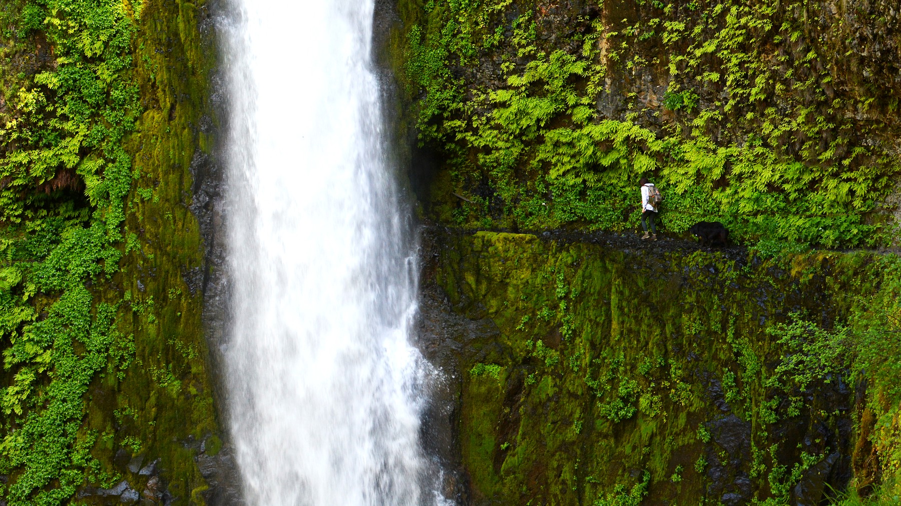 Eagle Creek Trail: Exposure, Waterfalls, and Turnaround Options