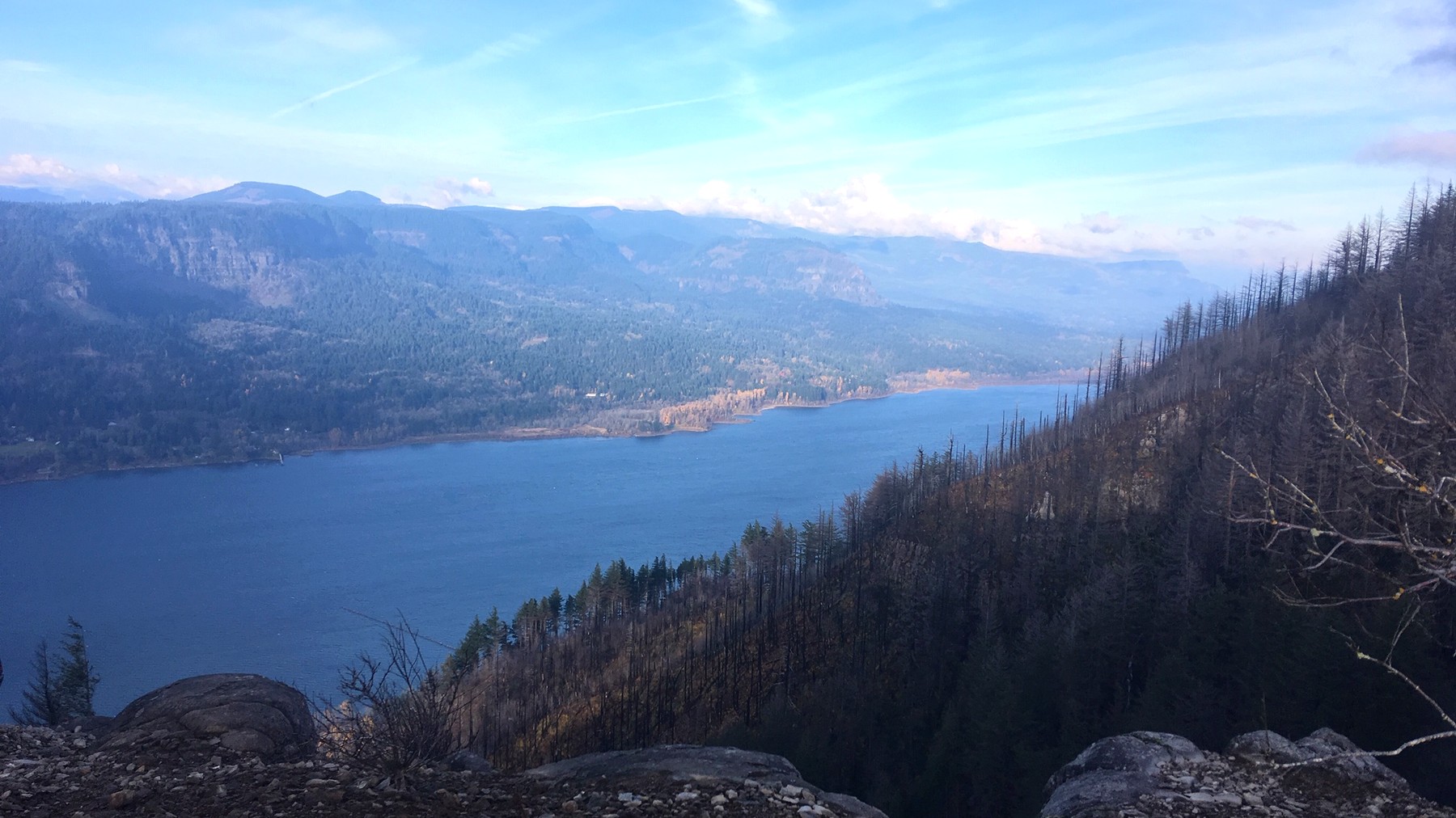 Angel’s Rest Trail: Difficulty, Parking, and Gorge Views