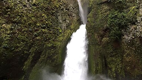 Wahclella Falls Trail: A Short Hike Through Tanner Creek Canyon