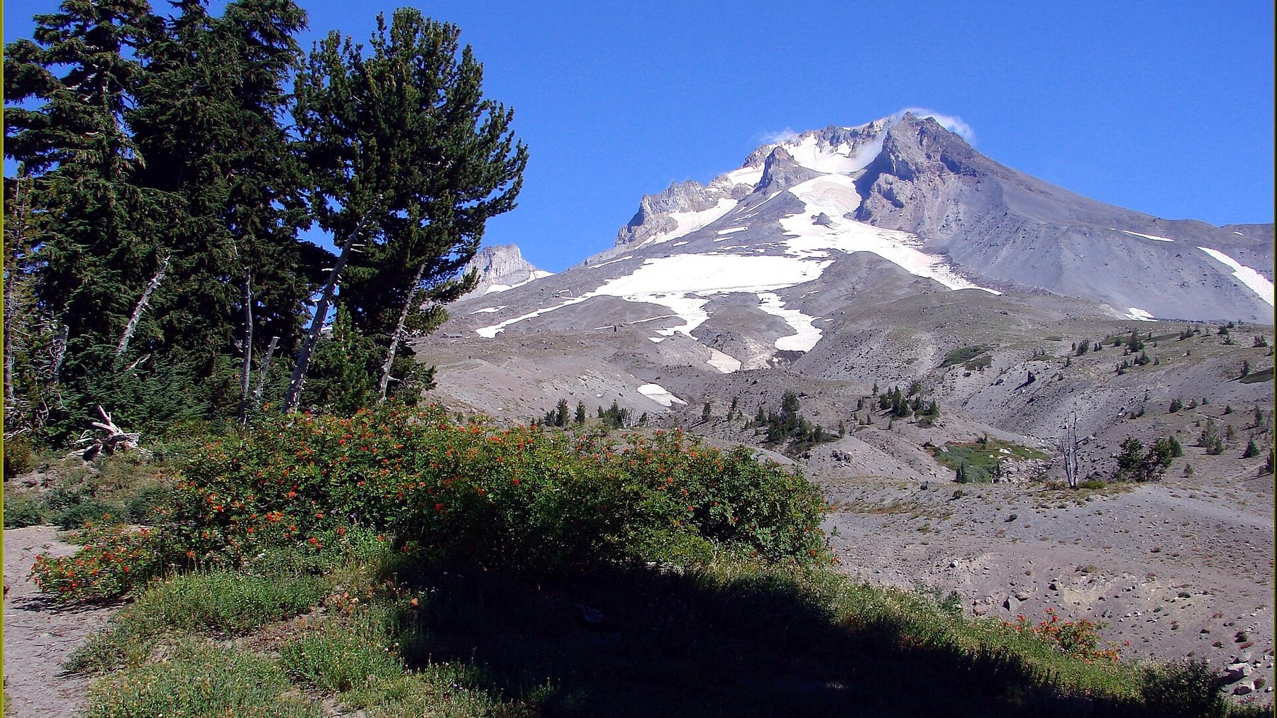 Mount Hood west face beneath a clear blue sky