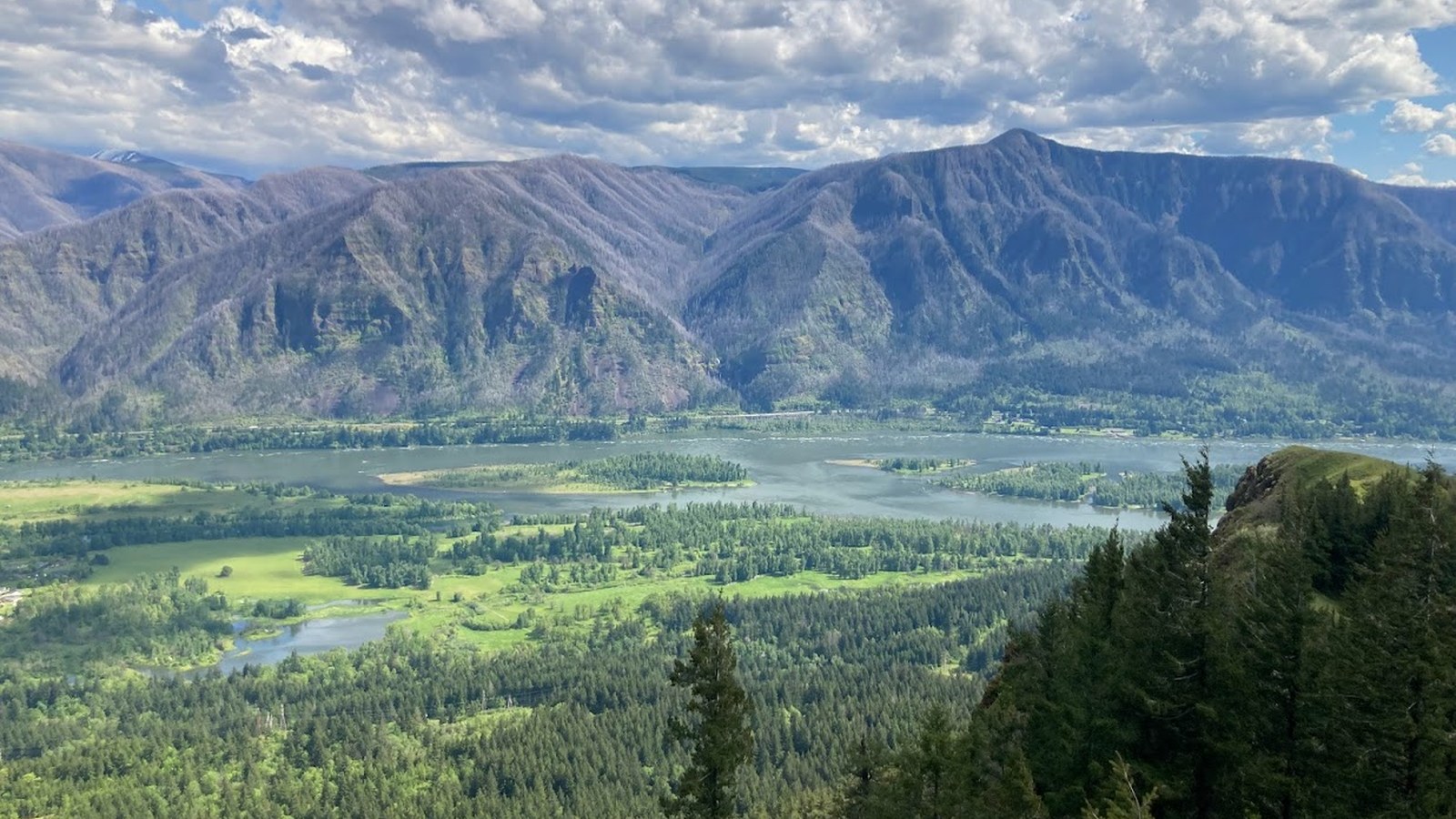 Hamilton Mountain Trail: Choose the Falls, Summit or Full Loop